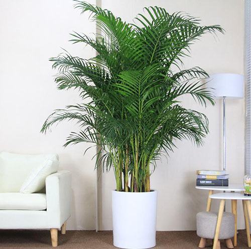 园林绿化工程项目管理的关键要素-1042