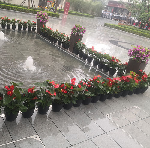 花卉出租对于会议或展览的影响